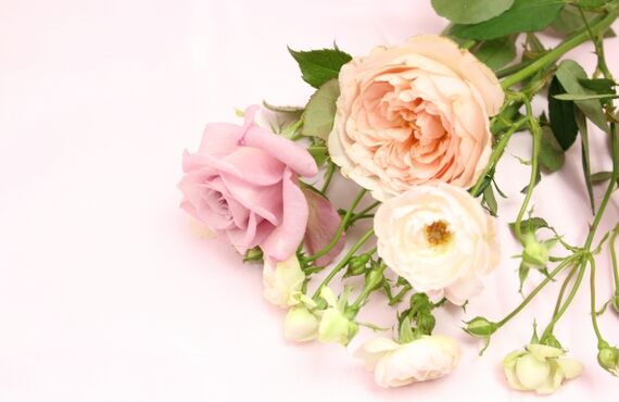 富田林のお葬儀　家族葬は心和葬祭なごみにお任せください