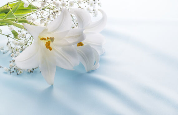 葬儀　富田林でお葬儀、心和葬祭なごみがお手伝い致します。