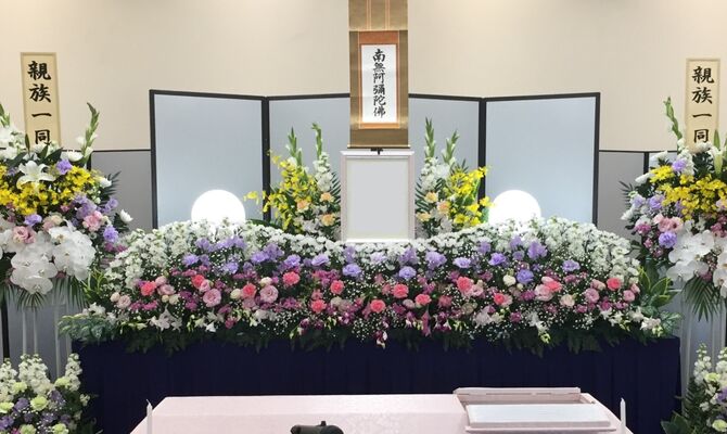 40プラン