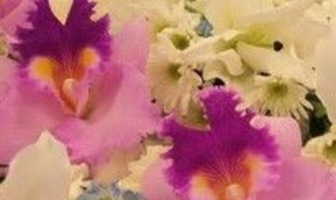 花2