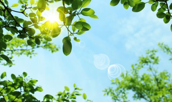 92b3790efb7135b10ee67c410a7fb0ee_s