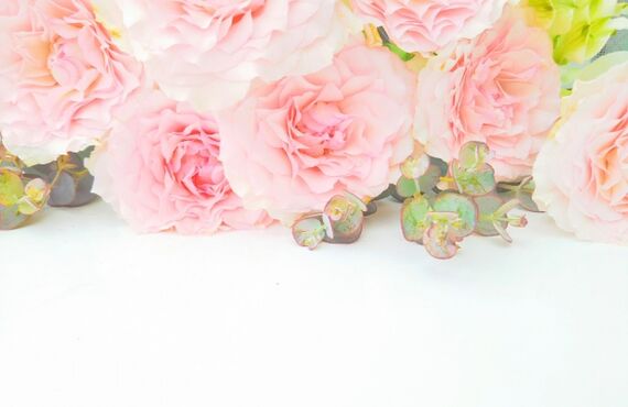 葬儀費用のご相談は心和葬祭なごみにお任せください。